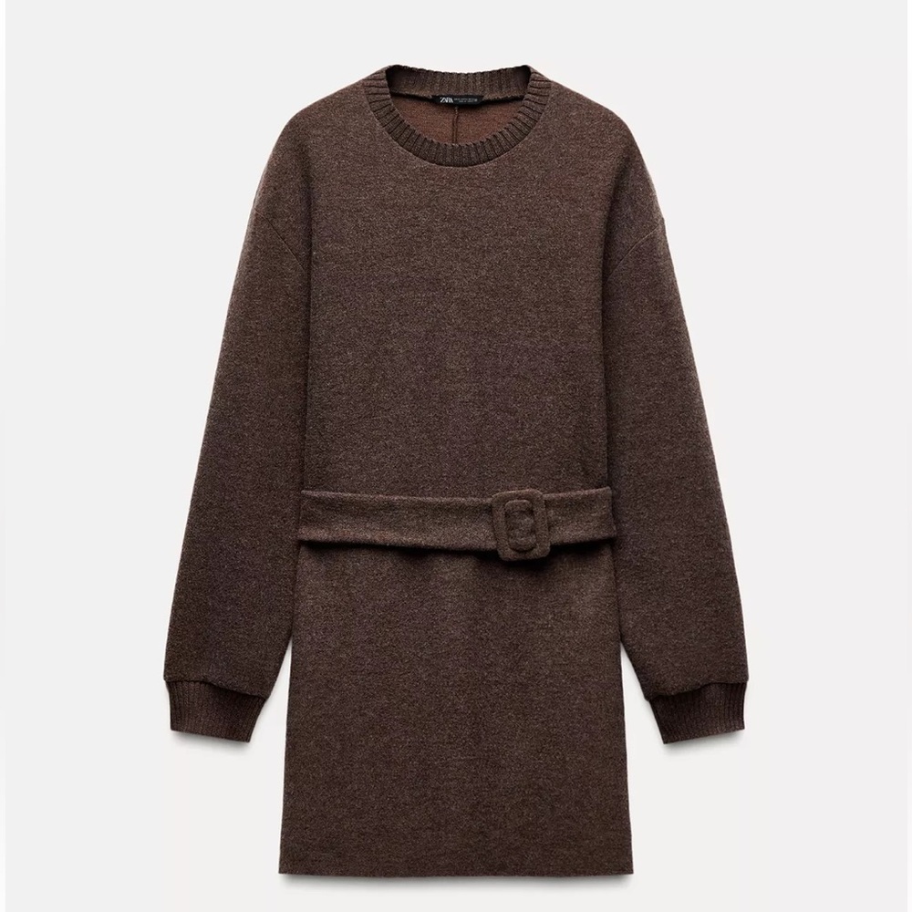 Zara Brown Long Sleeve Dress